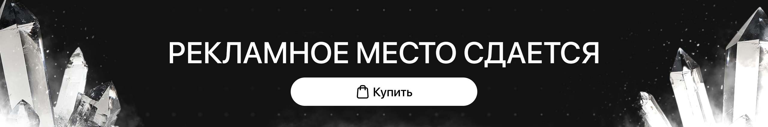 Large Banner 1